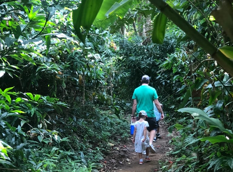 hiking in Singapore