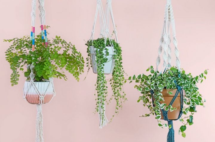 hanging pot