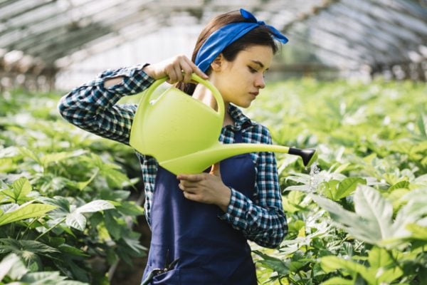 a young female gardener water plants inside a greenhouse