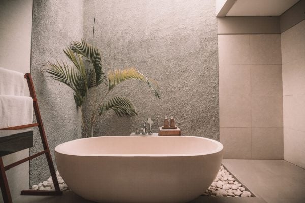 an eco-friendly bathroom with a plant