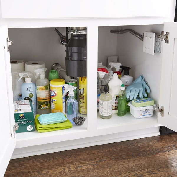 cleaning supplies under a kitchen sink