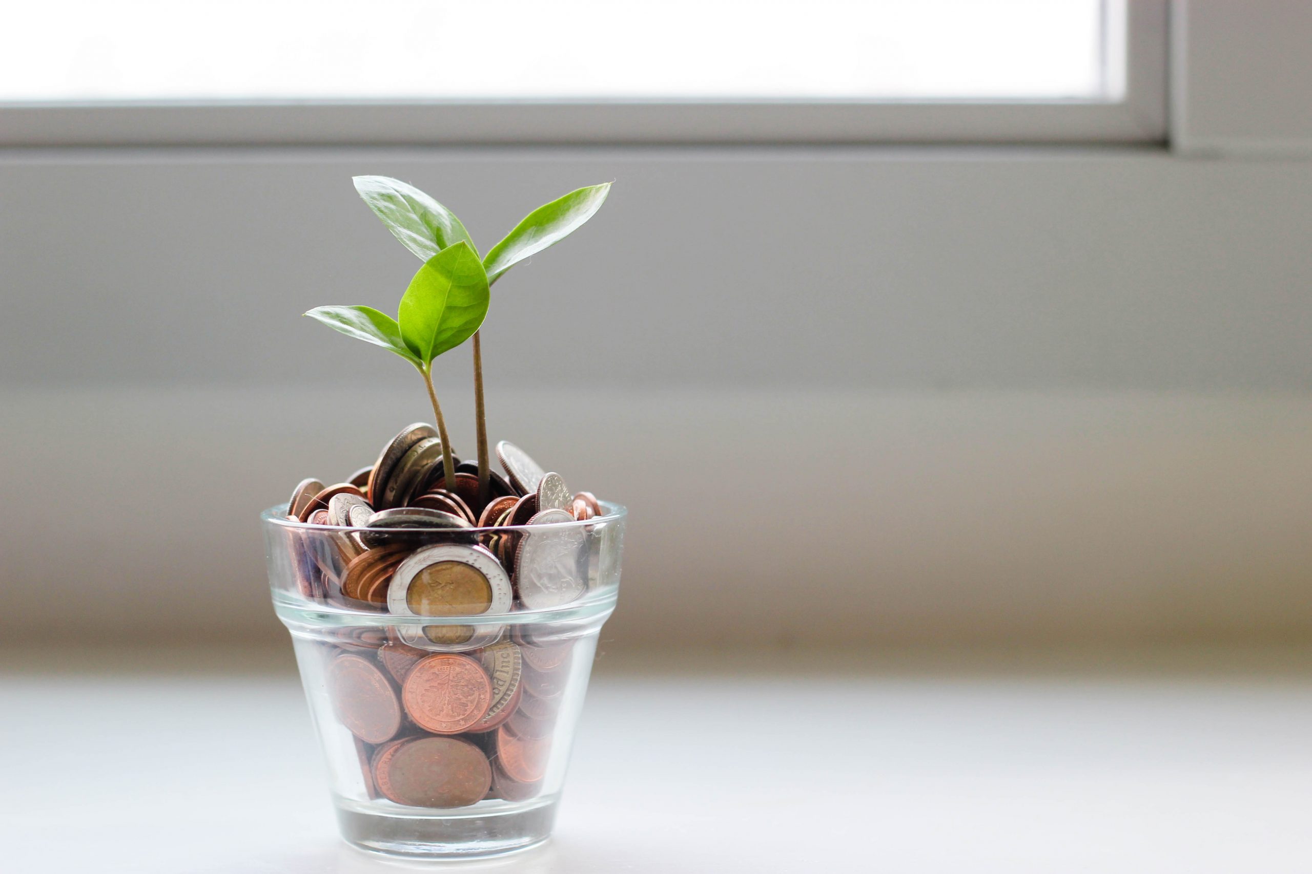 A bowl filled with coins and a tree